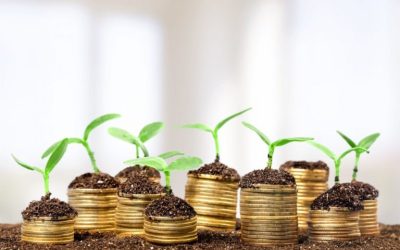 Building a Balanced Portfolio With Investment Solutions in the USA